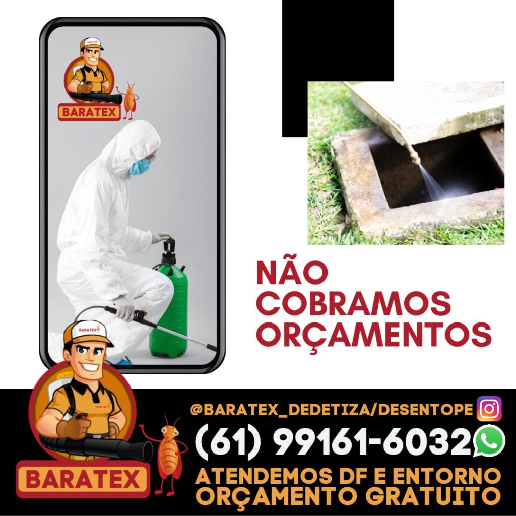 Empresa Desentupidora em Brasilia, Garantimos o Melhor Preço Da Região 1 Como escolher a melhor desentupidora para suas necessidades na capital federal